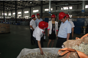 長虹集團公司頂層設(shè)計師視察長虹格潤